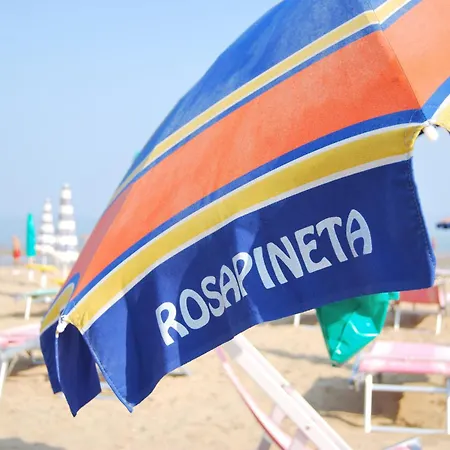 Hotel Rosapineta - Adults Only-2