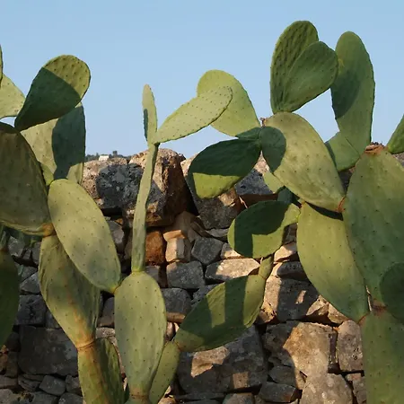 Masseria Trotta B&B-2