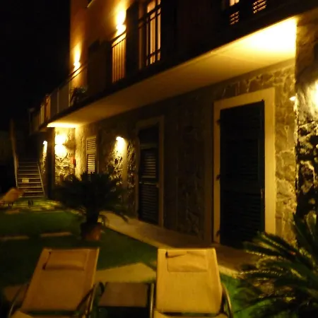 La Gerbera-2