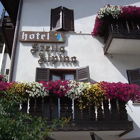 Hotel Stella Alpina-2