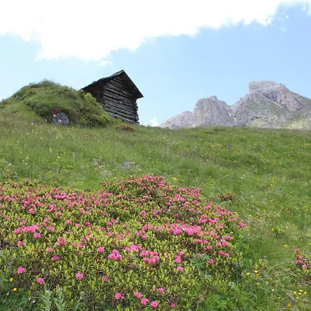 Pension Arnica B&B-3