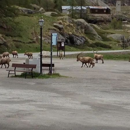 Albergo Gran Paradiso-2