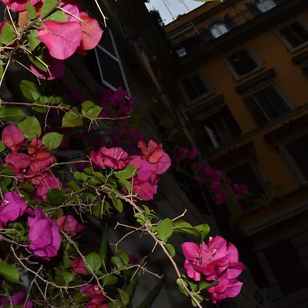 Bye Rome Guesthouse-2