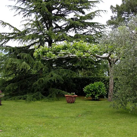 Hotel Il Buongustaio-2