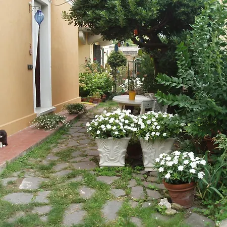 Perla B&B-2