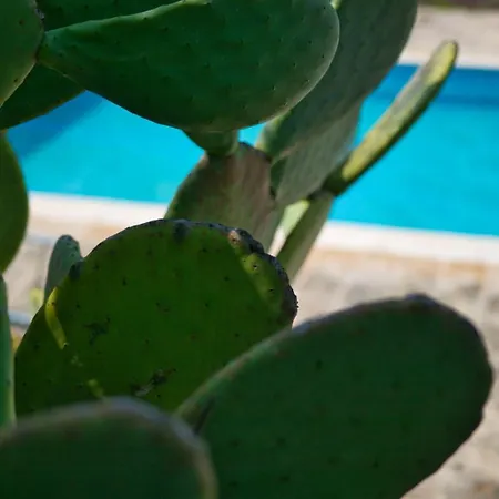 Masseria Trullo Sovrano Exclusive B&B-3