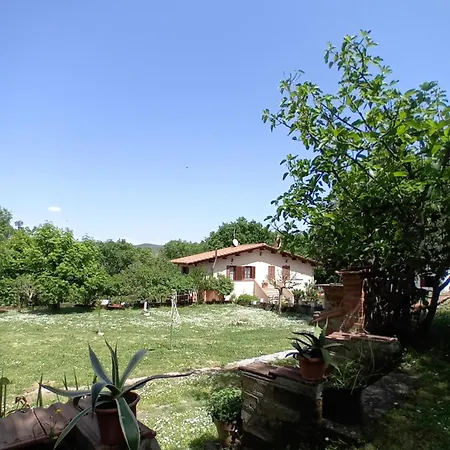 Boscodisotto-3
