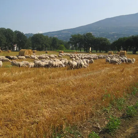 Il Tugurio Agriturismo B&B-3