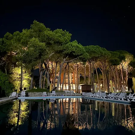 Hotel Beau Rivage Pineta-3