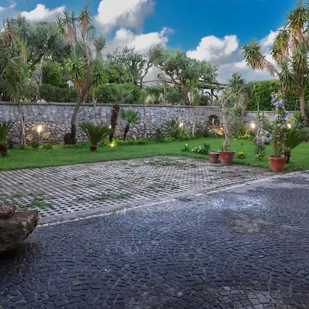 Dream Garden-3
