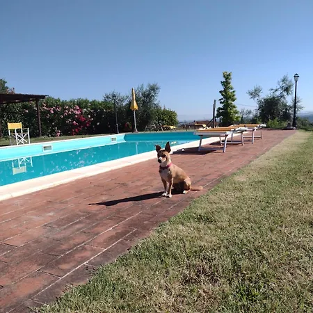 Le Pergoline B&B-2