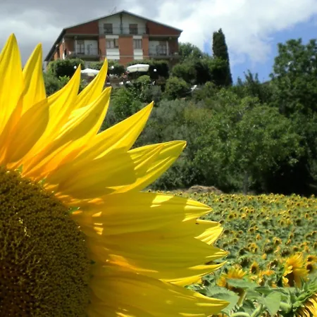 Hotel Sangallo B&B - Panoramic Position - Valley And Vineyard View- Family Run-2