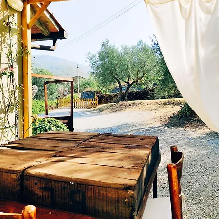 La Casa Tra Gli Ulivi-3