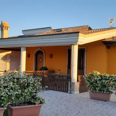 B&B Agrifoglio-2