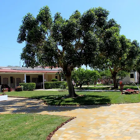 Tenuta Paifer-3