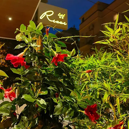 Hotel Ricci-2