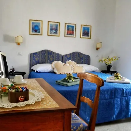 B&B Myosotis-3
