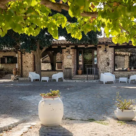 Roba Degli Ulivi-3