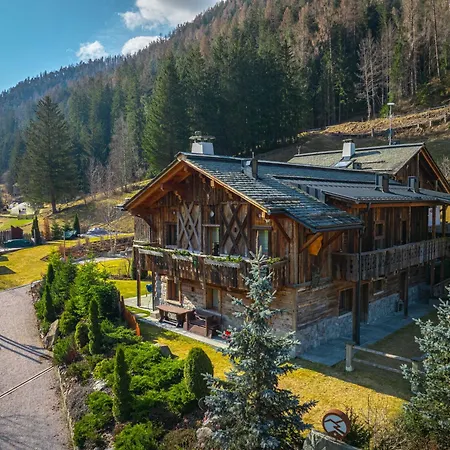 Alpine Mountain Chalet-2