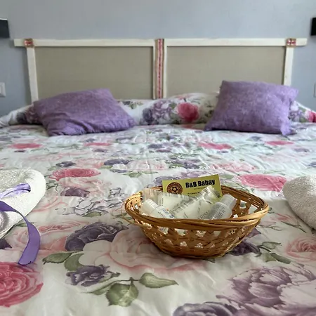 B&B Babay-3