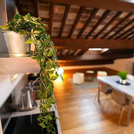 My Loft-3
