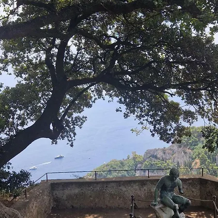 Il Sogno Di Wagner-2