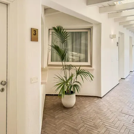 Aras Hotel Boutique-2
