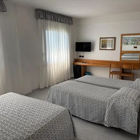 Hotel Le Palme-3