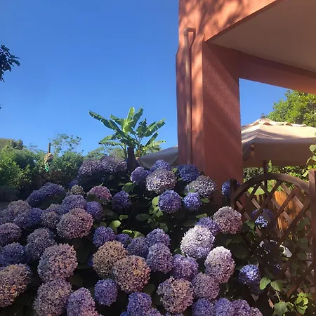 Sonnino B&B-3