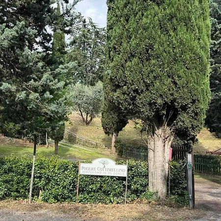 B&B Podere Cottimellino - Montalcino - Val D'Orcia-2