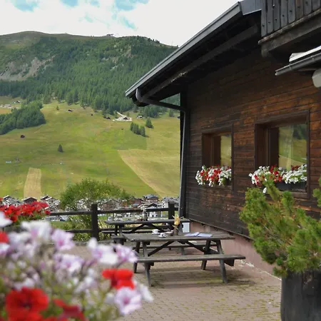 Hotel Teola-3