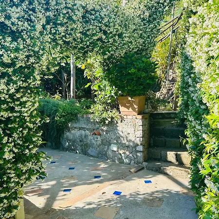 B&B La Gemma Di Ravello-3