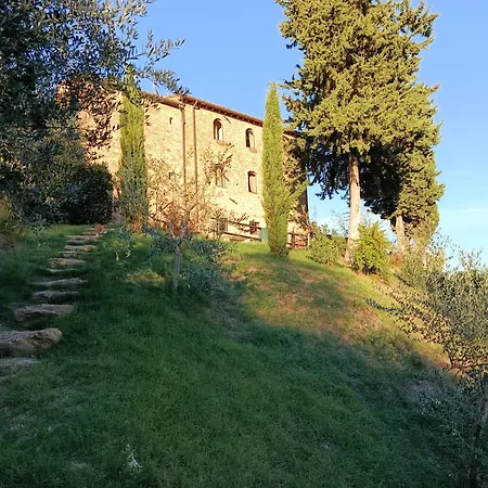 Rocca Degli Olivi-2