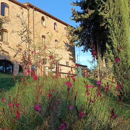 Rocca Degli Olivi-3
