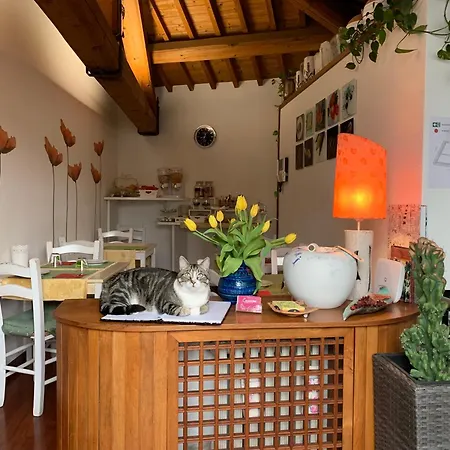 B&B Casanova-2