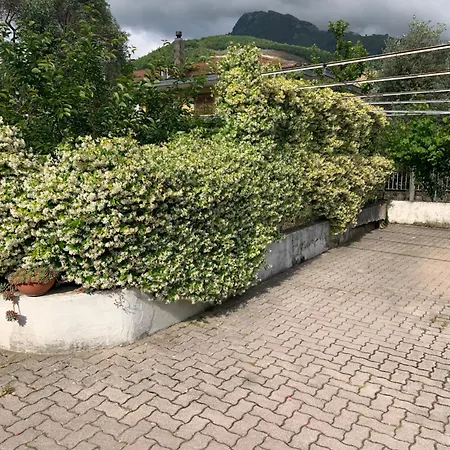 Acerorosso B&B-2