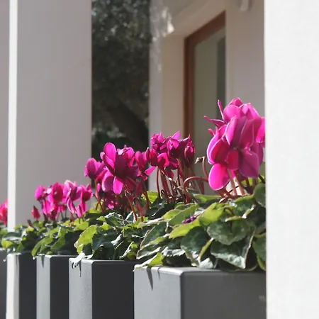 Hotel Angedras-2