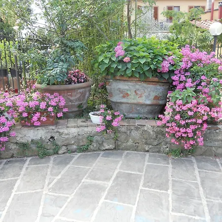 Agriturismo Le Macine-2