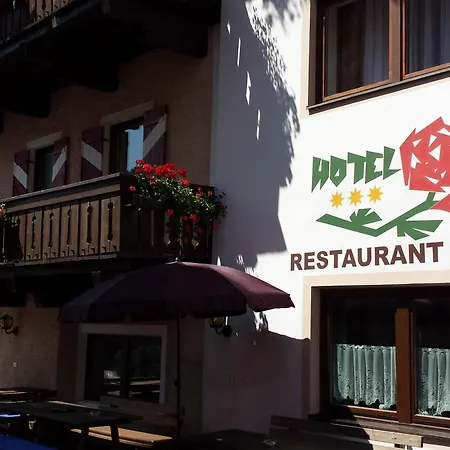 Hotel Rose-3