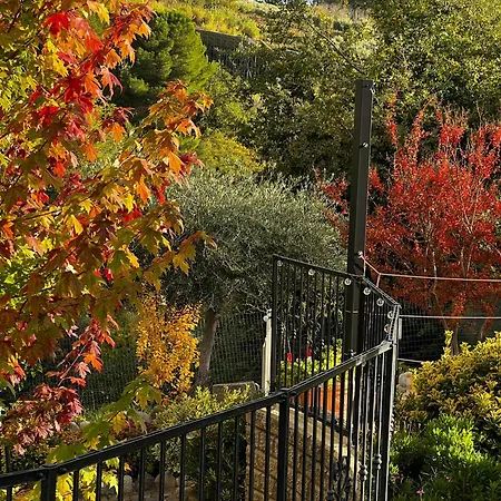 Peperosa In Collina B&B-2