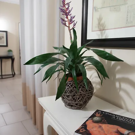 Residenza Fiorentina-3