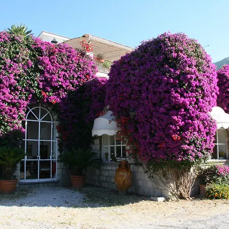 Tenuta Villa Tara-2