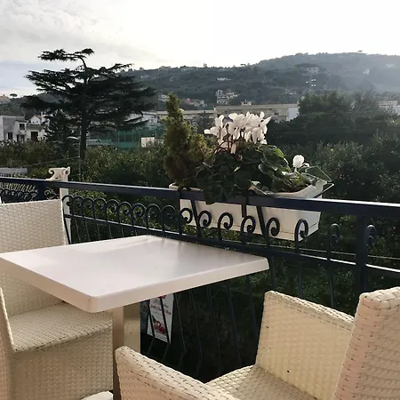 Bougainvillea Relais-3