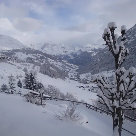 Hotel Alpe Fleurie-3