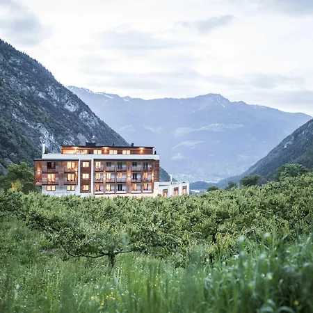 Hotel Burgaunerhof-3