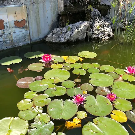 Villa Patrizia-3