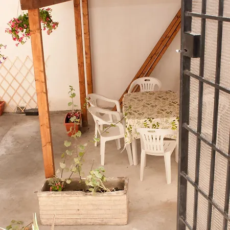 Dandi Domus-3