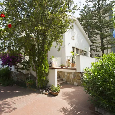 Lumachella B&B-2