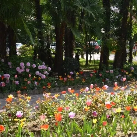 Hotel Terme Villa Piave-3