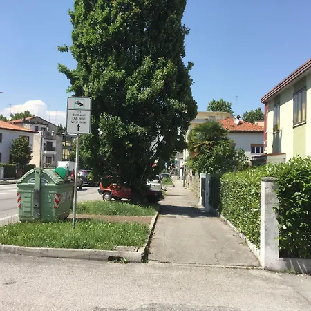 Ever Green-2